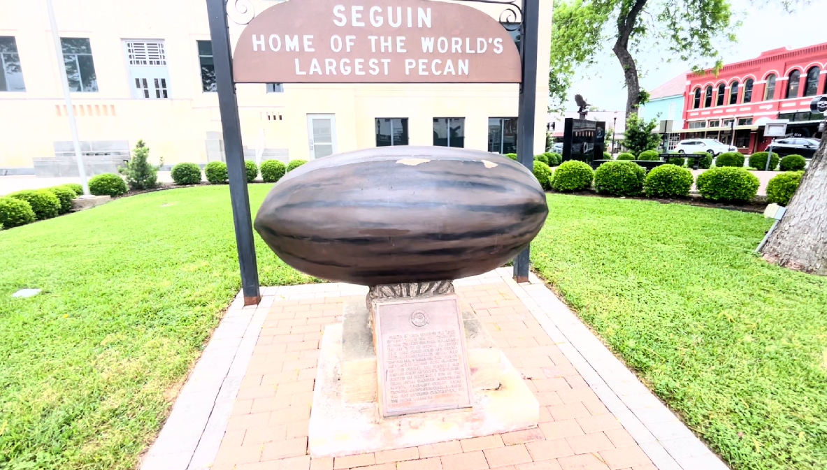 Seguin Home of the Largest Pecan